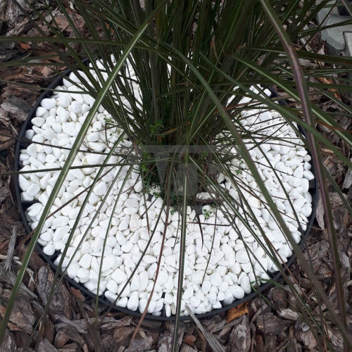 Peenraääris rullis 4cm x 10m + 20 kinnitusnaela MUST