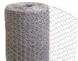 Linnuvõrk Zn rullis 10m