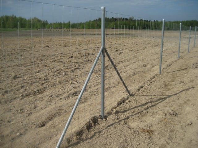 Loomavõrk keevitatud 50m rullis