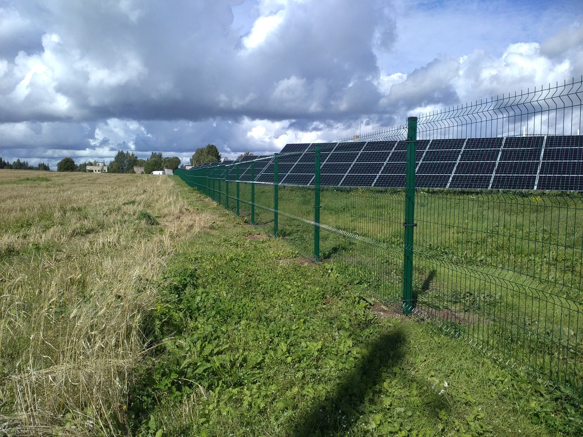 3D Keevispaneel 4mm RAL6005 roheline