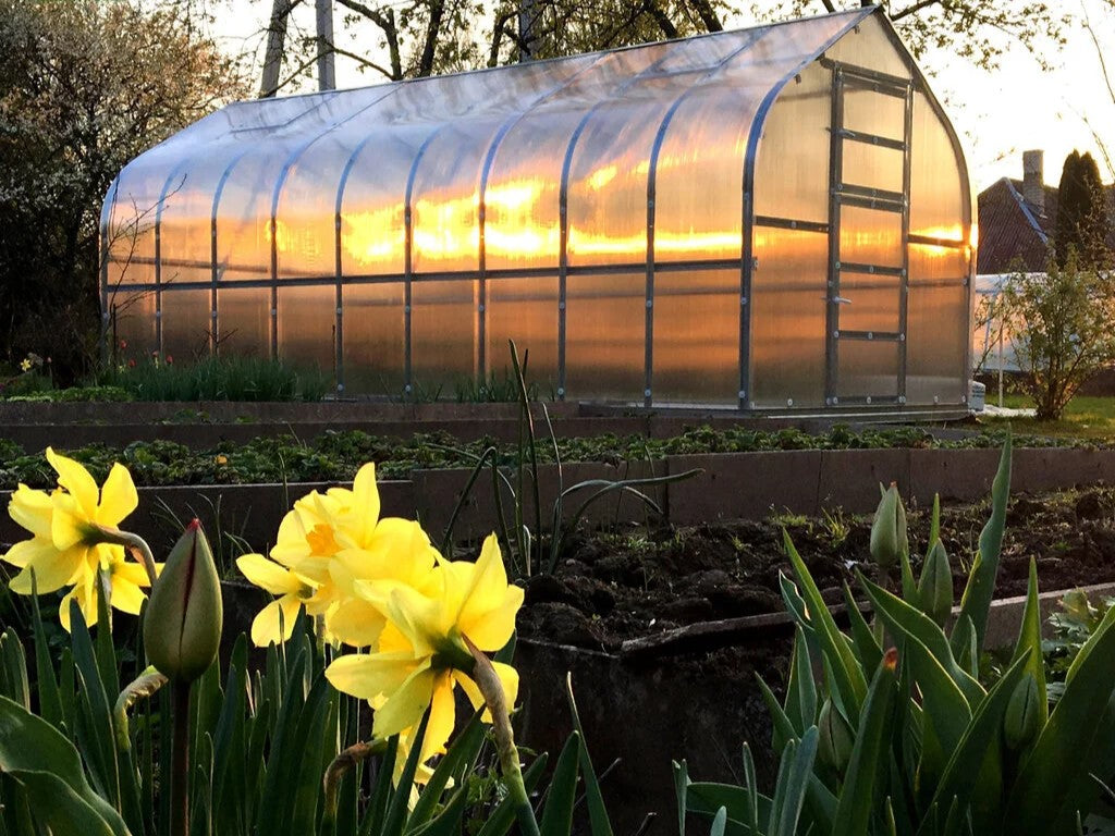 Kasvuhoone KLASIKA STANDART ja tasuta katuseluuk 