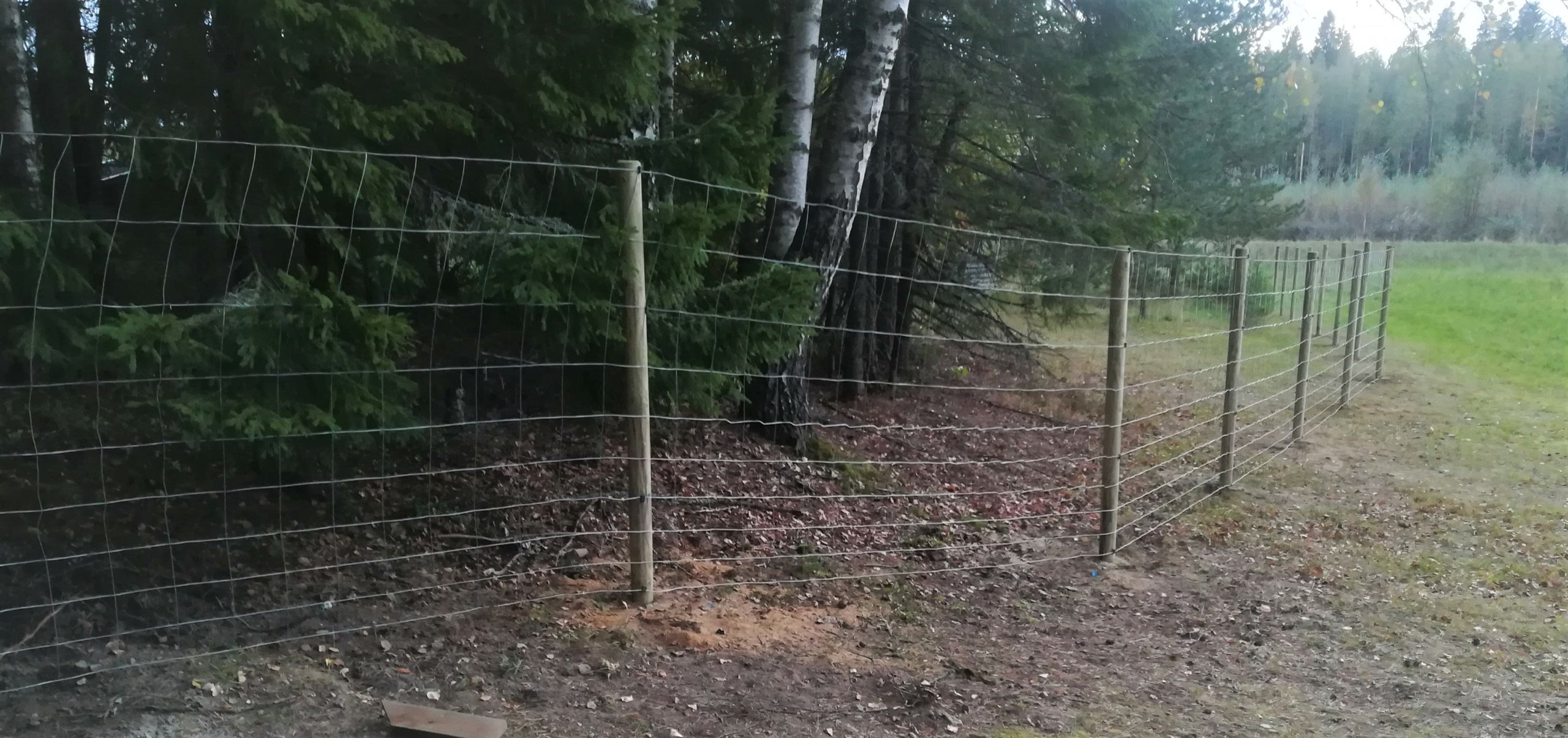 Loomavõrk punutud 50m rullis